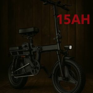 Adult Folding Electric Bike