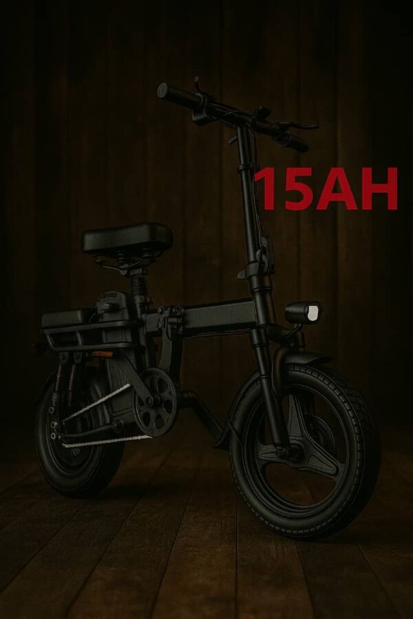 Adult Folding Electric Bike