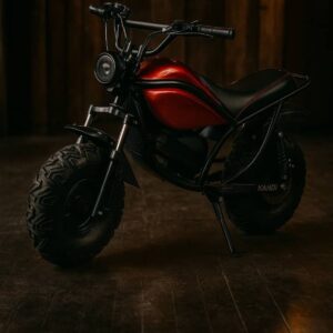 Kandi Trail King e500